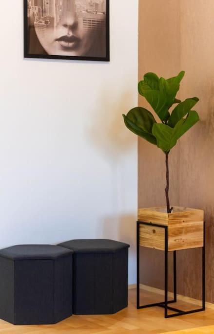 Gozsdu White Raven 3 - Terrace And Free Underground Parking Apartment Budapest Ngoại thất bức ảnh
